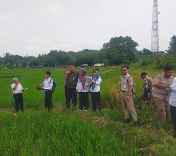 WhatsApp Image 2026 04 28 at 13 17 211 360x320