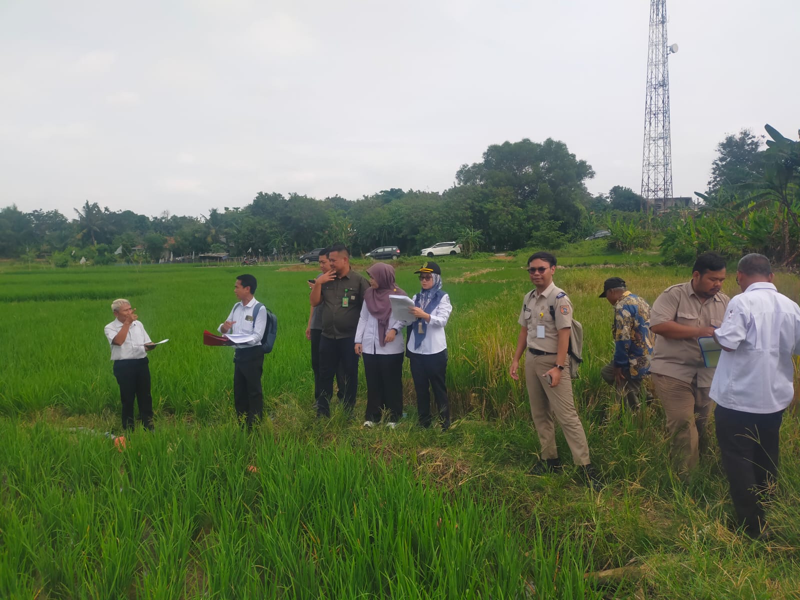 WhatsApp Image 2026 04 28 at 13 17 211