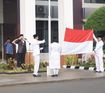 DSC00308 360x320